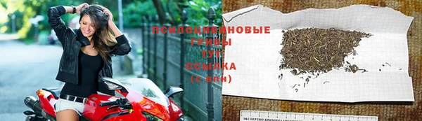 молекула духа Армянск
