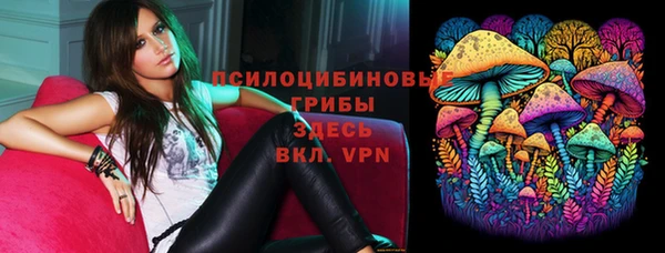 молекула духа Армянск