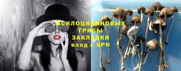молекула духа Армянск