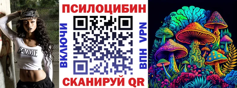 купить наркотик  Сегежа  Псилоцибиновые грибы мицелий 